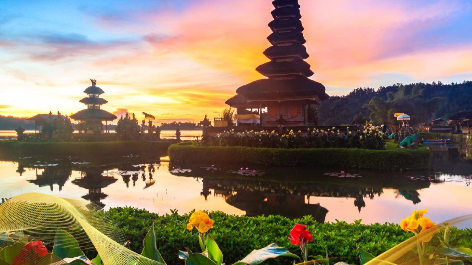 2026 bali 18 agosto B IN30