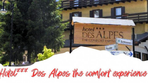 2025 trentino estate des alpes IN30