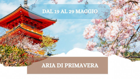 2026 W giappone aria di primavera 19 05 26 IN30