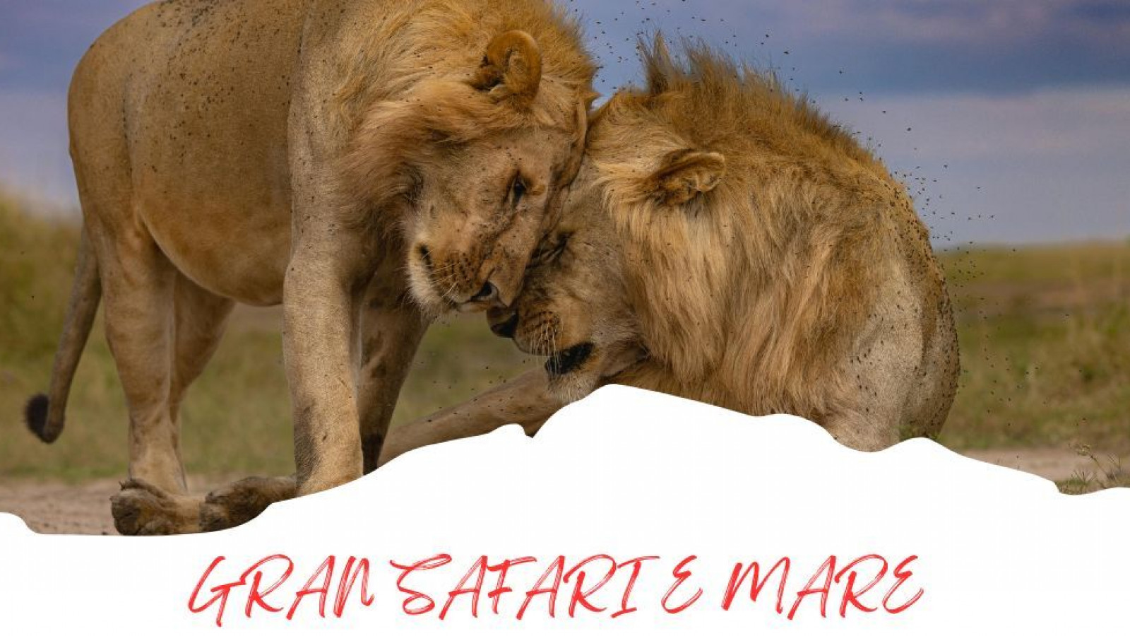 2025 africa gran safari e mare 25 IN30