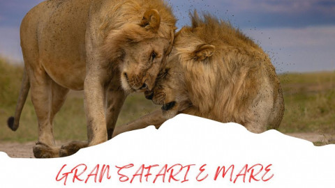 2025 africa gran safari e mare 25 IN30