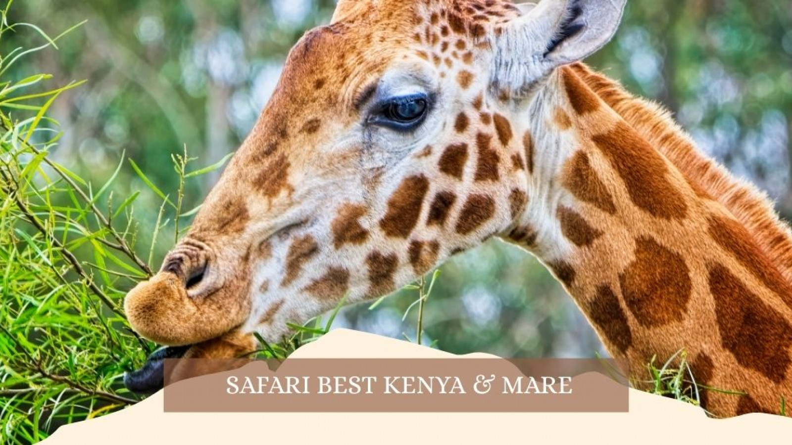 2025 africa best kenia e mare gennaio marzo 26 IN30