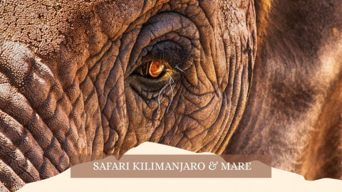 2025 africa kilimangiaro e mare gennaio marzo 2025 IN30