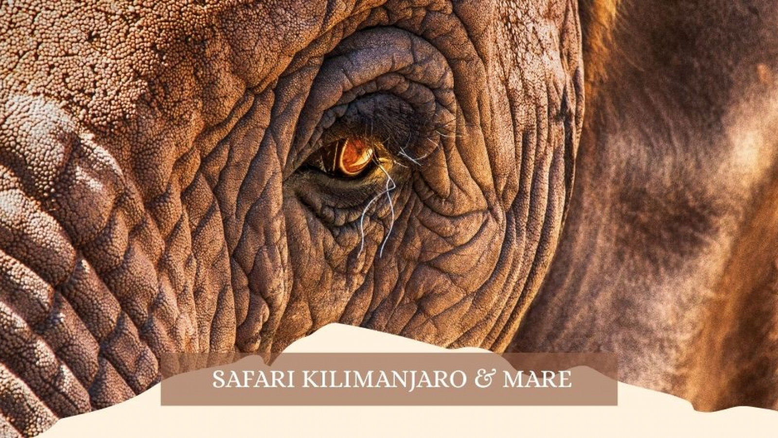 2025 africa kilimangiaro e mare gennaio marzo 2025 IN30