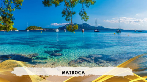 2026 maiorca 11 agosto napoli T IN30