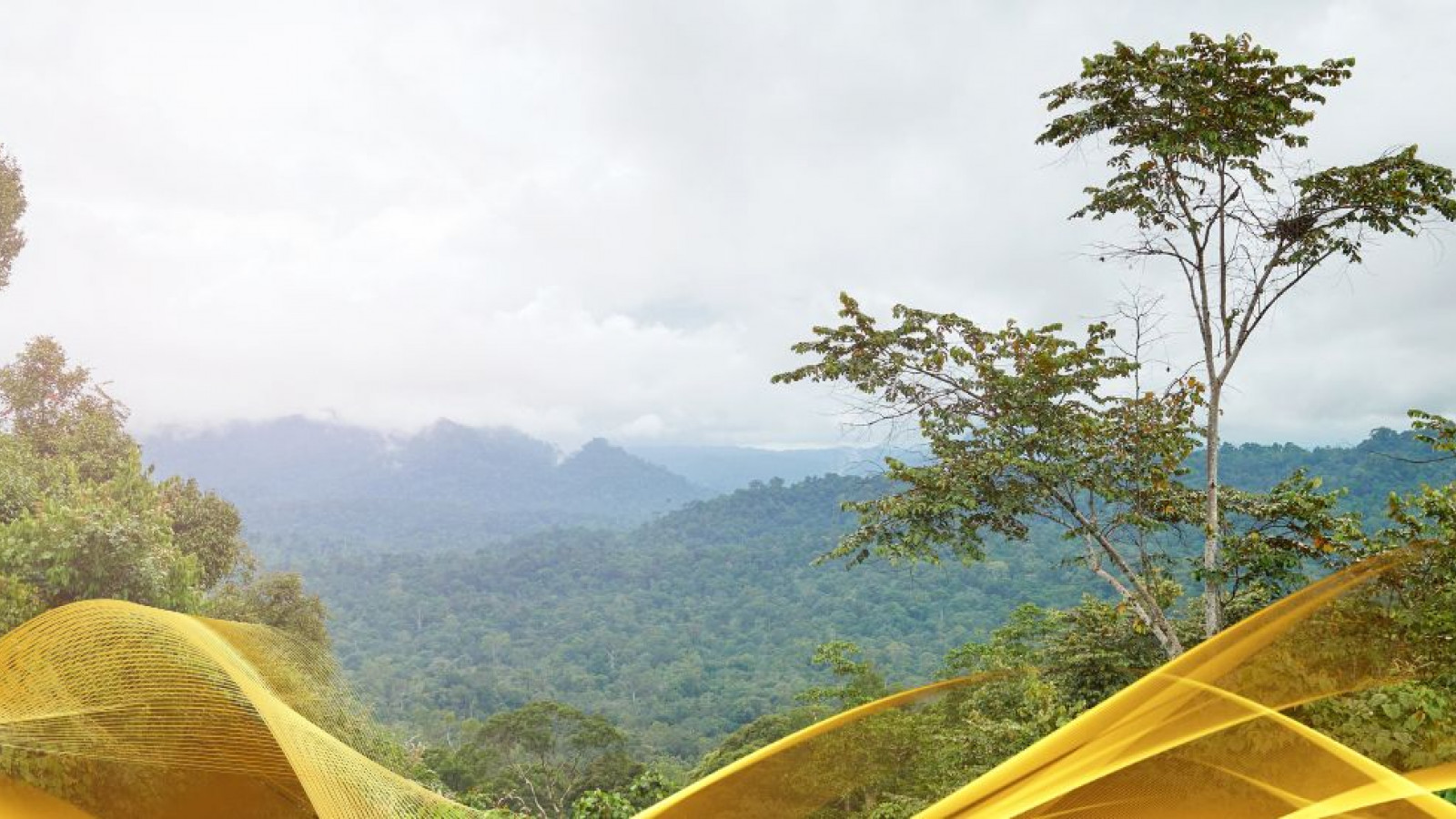 2026 malesia tour mare e altopiani 9 08 O IN30