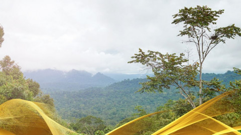 2026 malesia tour mare e altopiani 9 08 O IN30