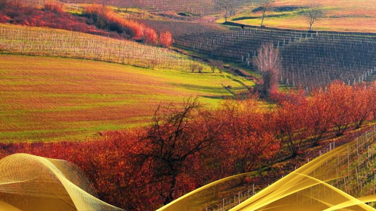 2026 W torino e le langhe 30 05 IN30