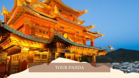 2026 cina tour panda 28 04 IN30