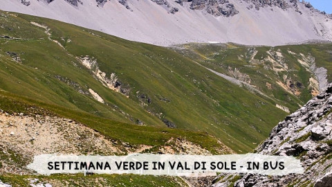 2026 W settimana verde val di sole 29 08 IN30