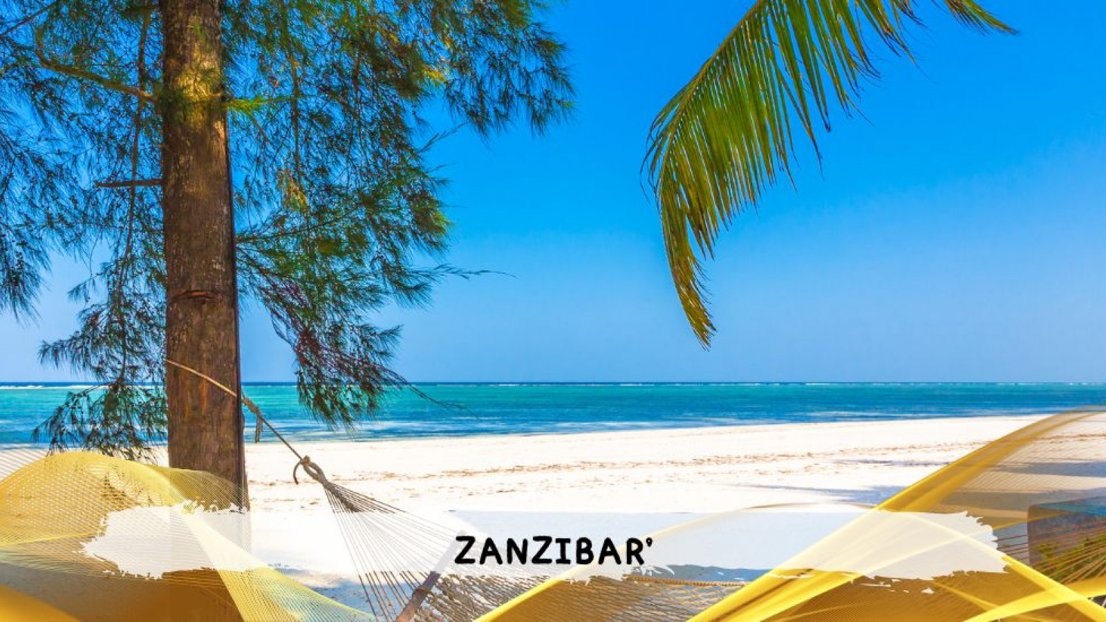 2026 zanzibar 11 08 T IN30